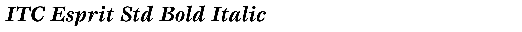 ITC Esprit Std Bold Italic image